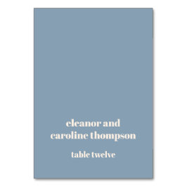 Vet Dusty Blue Retro Custom Wedding Place Card Kaart