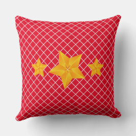 Vet gouden sterren/Sierkussen met rode strepen Kussen