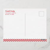 Vet Merry & Bright Holiday Silver Foil Briefkaart (Achterkant)