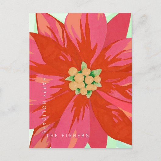 Vet, met de hand geschilderd poinsettia custom des briefkaart (Voorkant)