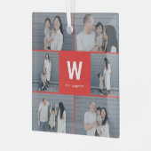 Vet Monogram Bewerkbare Kleur Aangepaste Foto Orna Glas Ornament (Voorkant links)