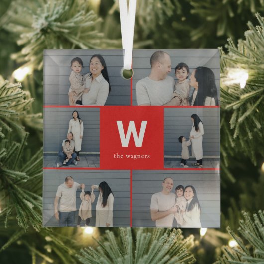 Vet Monogram Bewerkbare Kleur Aangepaste Foto Orna Glas Ornament (Insitu)