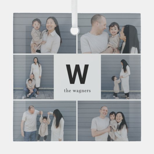 Vet Monogram Bewerkbare Kleur Aangepaste Foto Orna Glas Ornament (Voorkant)