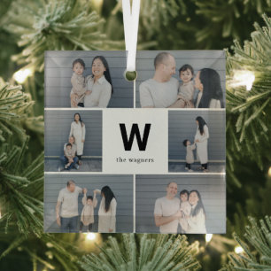 Vet Monogram Bewerkbare Kleur Aangepaste Foto Orna Glas Ornament