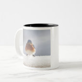 Vet OosterblauwBird Tweekleurige Koffiemok (Voorkant links)