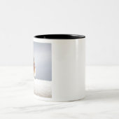 Vet OosterblauwBird Tweekleurige Koffiemok (Center)