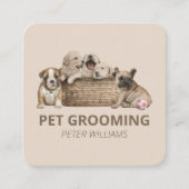 Vet Pet Grooming Pet Sitter Vierkante Visitekaartje (Voorkant)