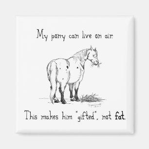 Vet Pony Magnet