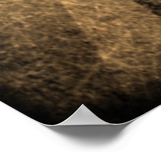 Vet Poster palmboom (Hoek)