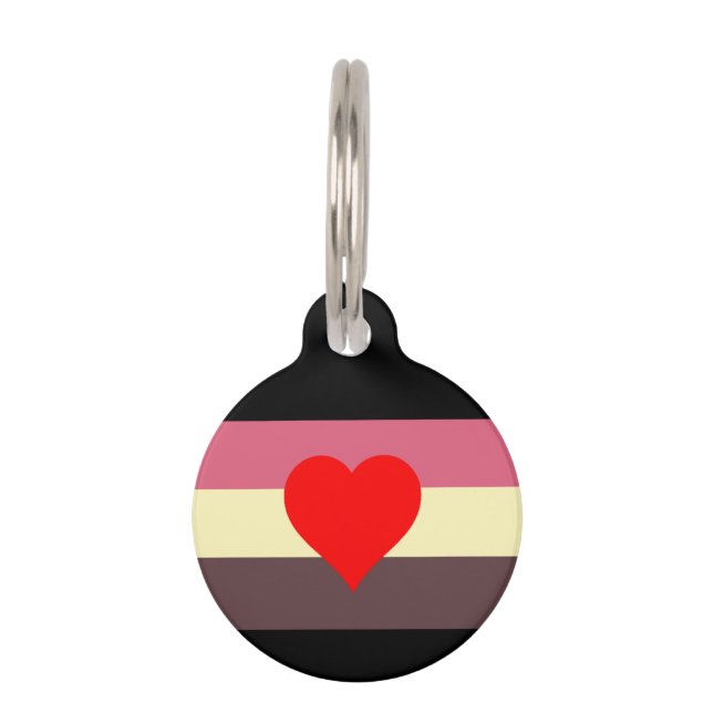 Vet Pride Vlag Huisdierpenning (Voorkant)