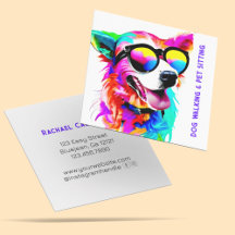 Vet Regenboog Hond Pet Sitter Hond Walker Custom