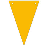 Vet Regenboog Kleuren Meisje Verjaardagsfeest Vlaggetjes (Derde vlag)