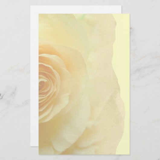 Vet Roos Briefpapier (Voorkant / Achterkant)