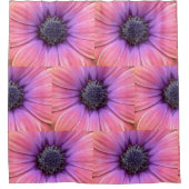 Vet roze en Oranje dagen Douchegordijn (Voorkant)