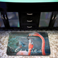 Vet roze flamingo besties vrienden foto Schattige 