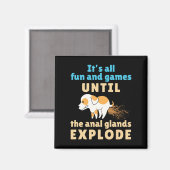 Vet Tech plezier en games totdat anale klieren exp Magneet (Voorkant / Achterkant)