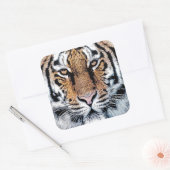 Vet tijger portret Grafische persstijl Vierkante Sticker (Envelop)