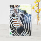 vet Zebra Wenskaart Kaart (Gele Bloem)