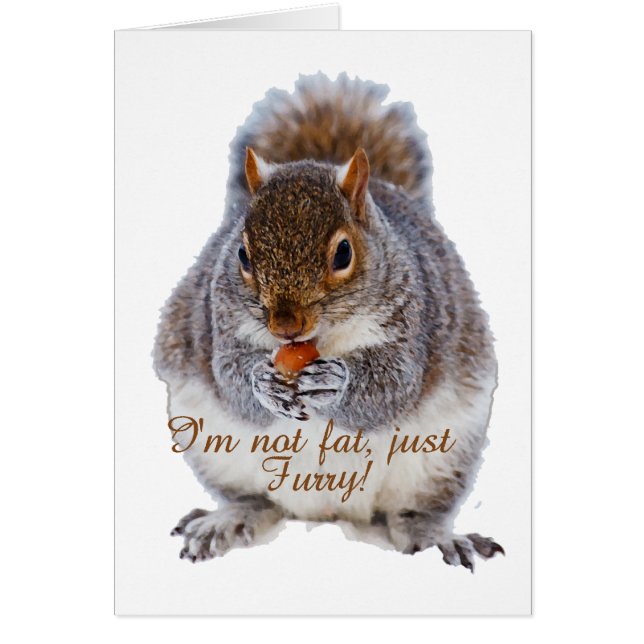 Veteekhoorn (Voorkant)