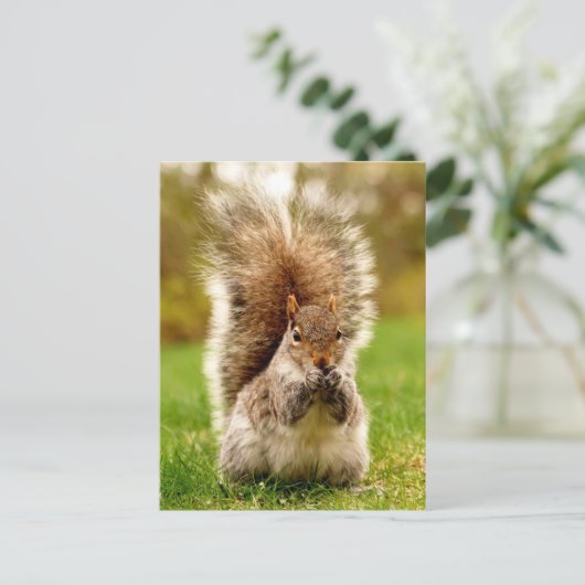 Veteekhoorn Briefkaart (Staand voorkant)