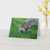 VeteekhoorntjesWenskaart Kaart (Gele Bloem)