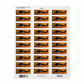 Veteranen van vliegende vliegers etiket (Full Sheet)