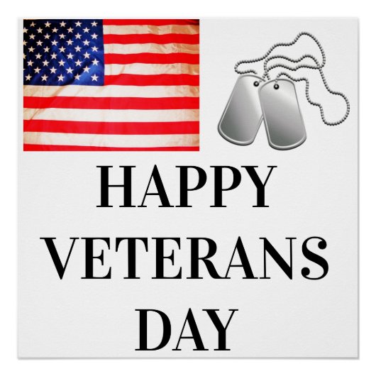 VETERANS DAY PERFECT POSTER (Voorkant)