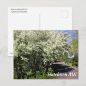 Veterans Memorial Park Hutchinson MN ansichtkaart Briefkaart (Voorkant / Achterkant)