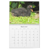 Veterde agenda voor vrienden 2016 (Encore) Kalender (Mar 2027)