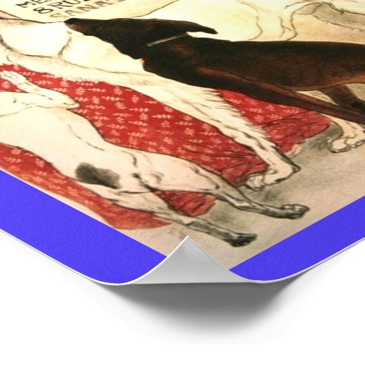  veterinair advies Frans 1905 Poster (Hoek)