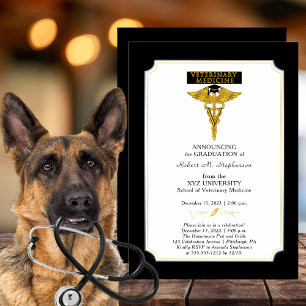 Veterinair Afstuderen Kaart