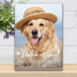 Veterinair Dank u Veterinary Dog Pet Photo Fotoplaat<br><div class="desc">Zeg 'Dank je' tegen je geweldige dierenarts met een schattige persoonlijke foto van de hond. Personaliseer de naam van het huisdier en zijn favoriete foto. Deze veeartsenijkundige appreciatie cadeau zal een schat in het belang zijn. Pas voor Vet Assistant, Vet Tech of Veterinary Title aan. COPYRIGHT © 2020 Judy Burrows,...</div>