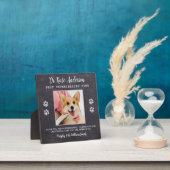 Veterinair Dank u wel Aangepast huisje foto Fotoplaat (Insitu)