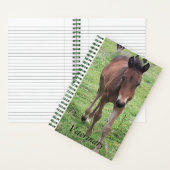 Veterinair Notitieboek voor scheepswerven (Binnen)