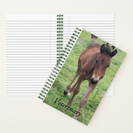 Veterinair Notitieboek voor scheepswerven (Binnen)