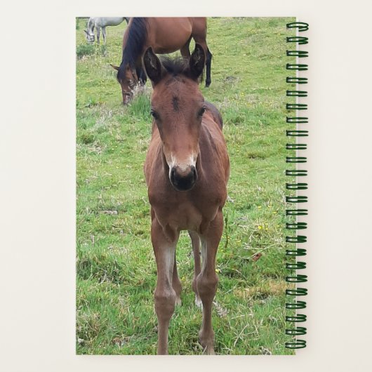 Veterinair Notitieboek voor scheepswerven (Achterkant)