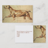 Veterinair Visitekaartje (Voorkant / Achterkant)