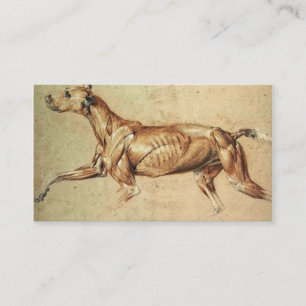 Veterinair Visitekaartje