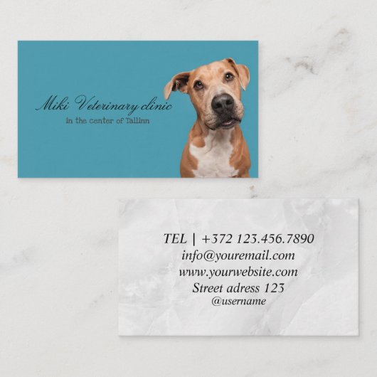 Veterinair Visitekaartje (Voorkant / Achterkant)