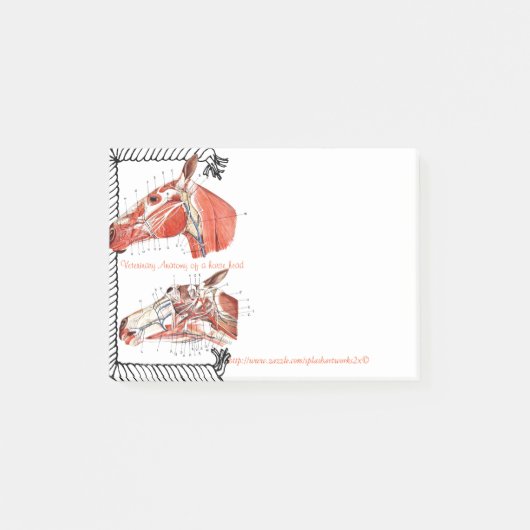 "Veterinaire anatomie van een paardenkop " Post-it® Notes (Voorkant)