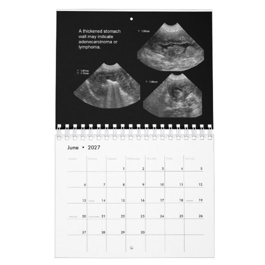 Veterinaire echografie kalender (Jun 2027)