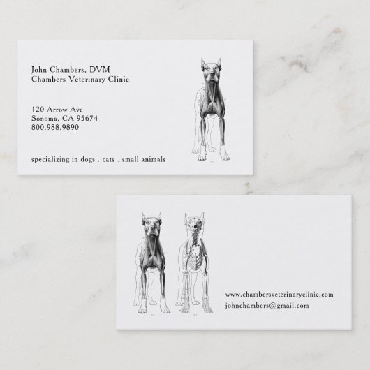 Veterinaire Visitekaartjes (Voorkant / Achterkant)