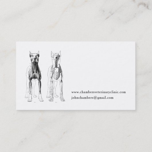 Veterinaire Visitekaartjes (Achterkant)