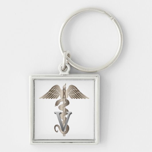 Veterinarian Caduceus Sleutelhanger (Voorkant)