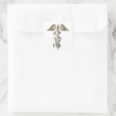 Veterinarian Caduceus Vierkante Sticker (Tas)