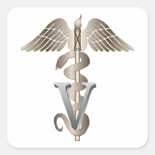 Veterinarian Caduceus Vierkante Sticker (Voorkant)
