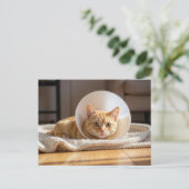 Veterinarian Ginger Cat Wearing a Cone of Shame Briefkaart (Staand voorkant)
