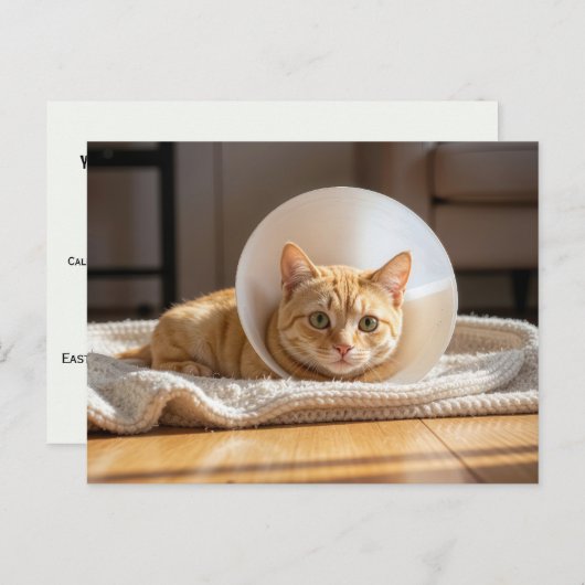 Veterinarian Ginger Cat Wearing a Cone of Shame Briefkaart (Voorkant / Achterkant)