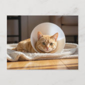 Veterinarian Ginger Cat Wearing a Cone of Shame Briefkaart (Voorkant)