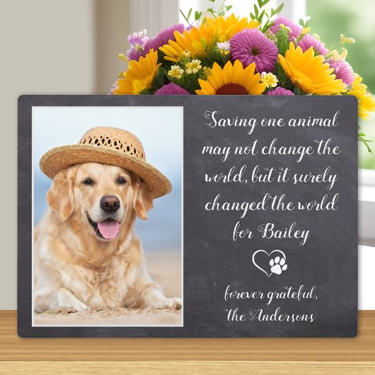 Veterinary Bedankt Dog Pet Foto Veterinarian Fotoplaat